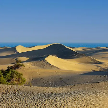 Apartment With Stunning View Maspalomas Dunes Playa del Ingles (Gran Canaria)