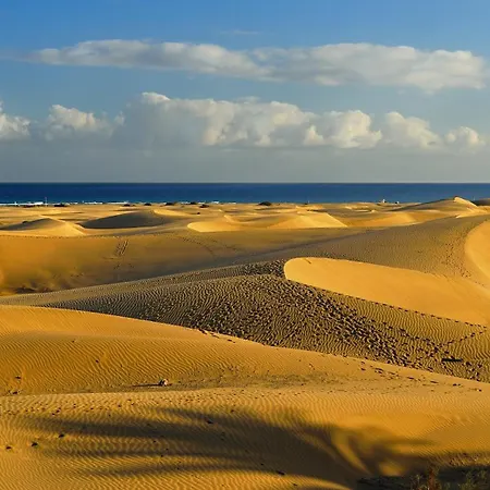 Bellevue Con 2 Y Magnifica Vista A Dunas De Maspalomas Apartamento *
